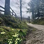 La Casina Del Cabecin En Parque Natural De Redes *