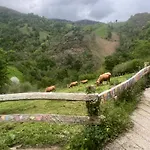 La Casina Del Cabecin En Parque Natural De Redes Caso