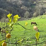 La Casina Del Cabecin En Parque Natural De Redes *