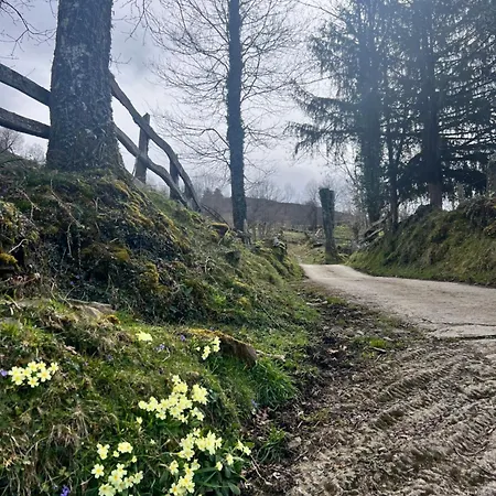 La Casina Del Cabecin En Parque Natural De Redes *