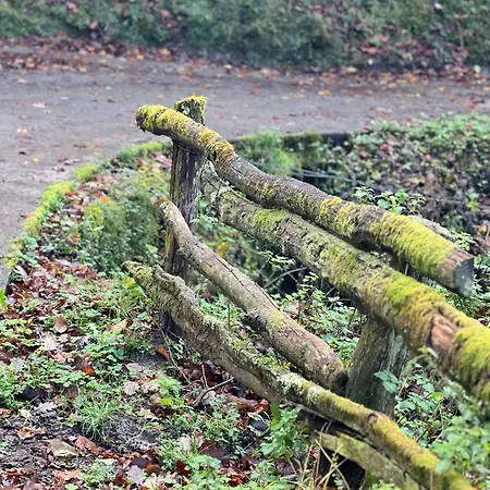La Casina Del Cabecin En Parque Natural De Redes Caso
