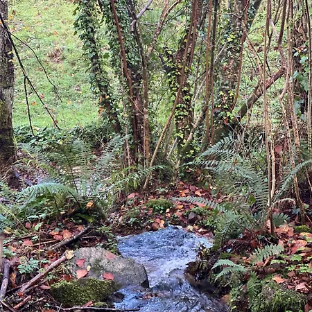Dom wakacyjny La Casina Del Cabecin En Parque Natural De Redes