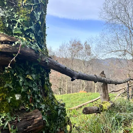 La Casina Del Cabecin En Parque Natural De Redes Dom wakacyjny *