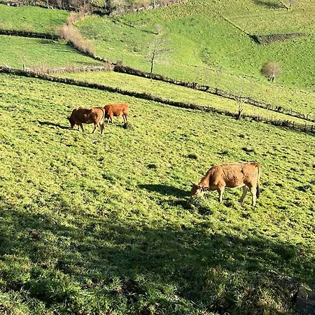 La Casina Del Cabecin En Parque Natural De Redes Dom wakacyjny *