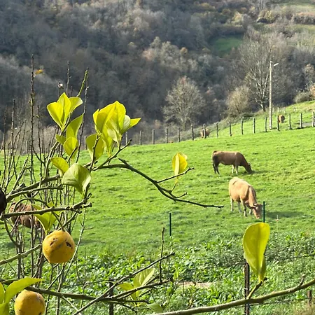 La Casina Del Cabecin En Parque Natural De Redes *